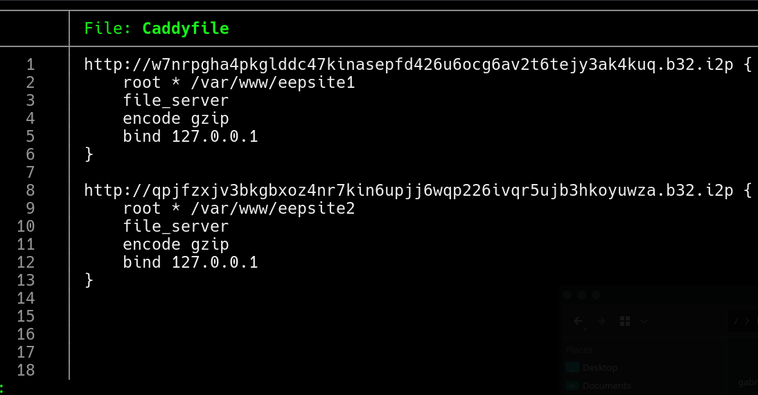 caddyfile config