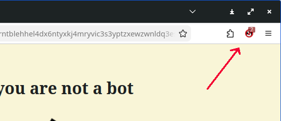 locating the noscript extension