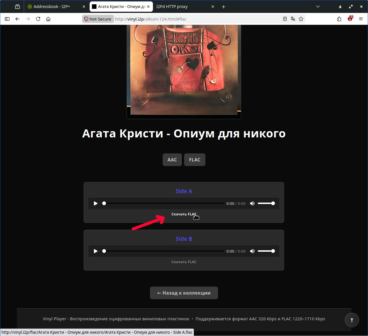 vinyl russian
