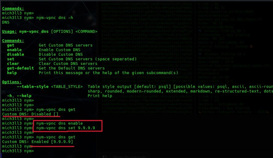 set DNS from command line
