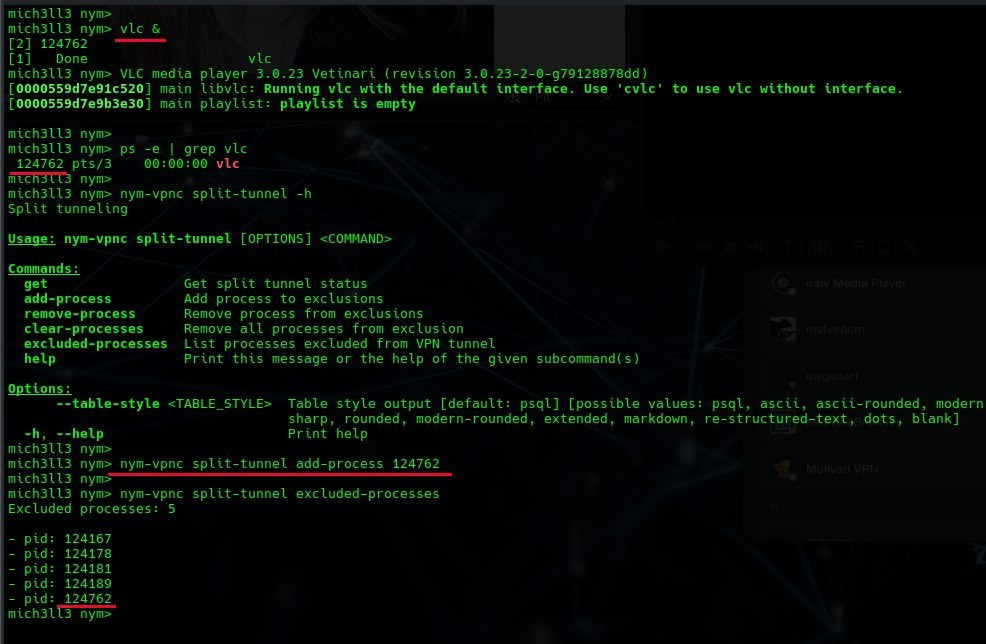 split tunneling via command line